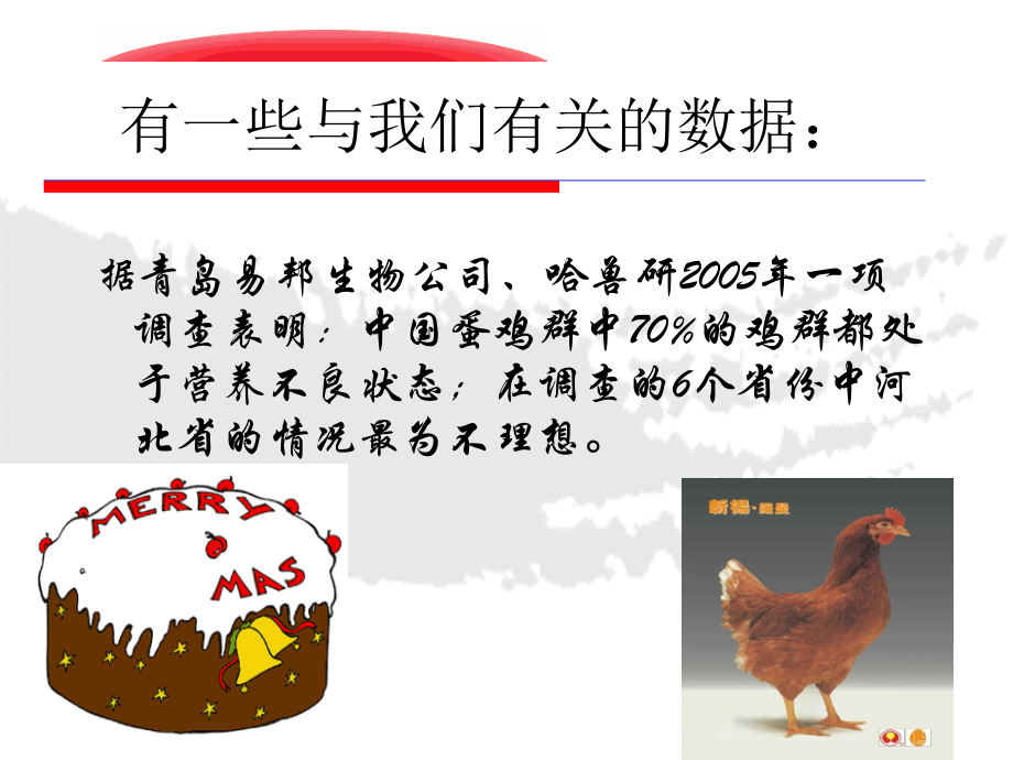 蛋鸡饲养管理篇讲座_第2页