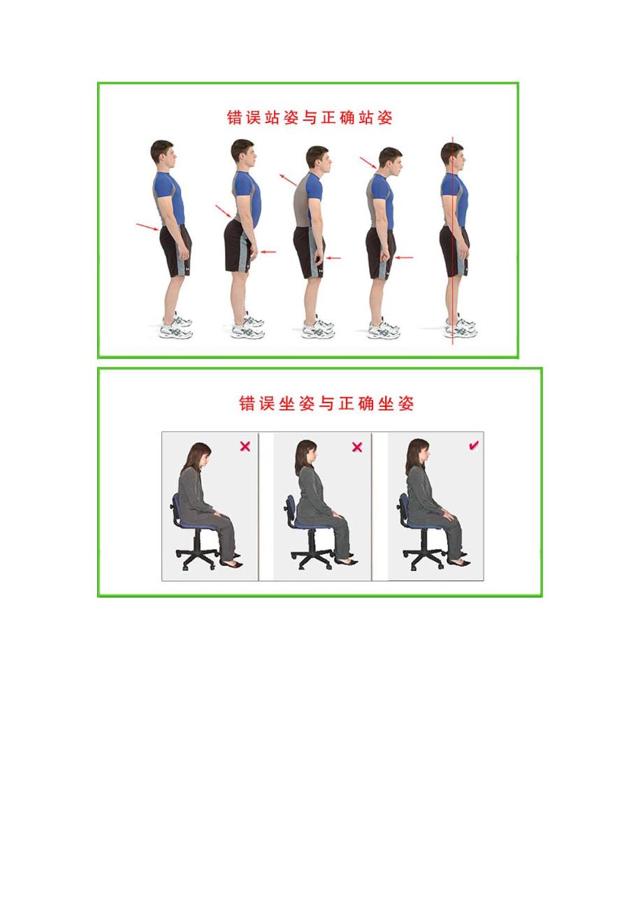 双背靠汽车靠背垫办公弹性靠垫简介_第3页