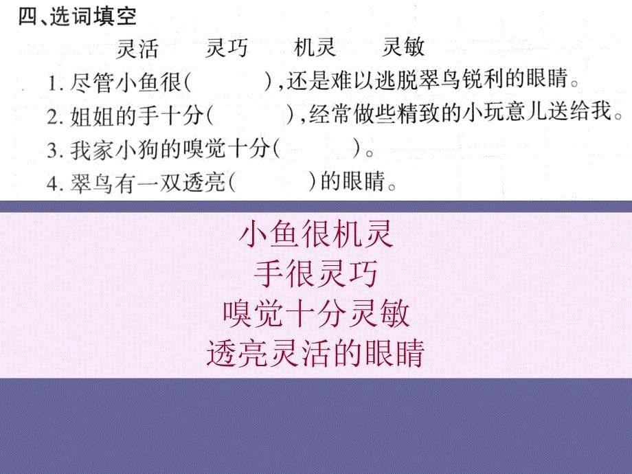 三年级语文下册第二单元试卷解析和讲解ppt课件-新课标人教版小学三年级_第5页