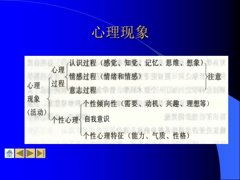 精编最新心理学教程_第5页