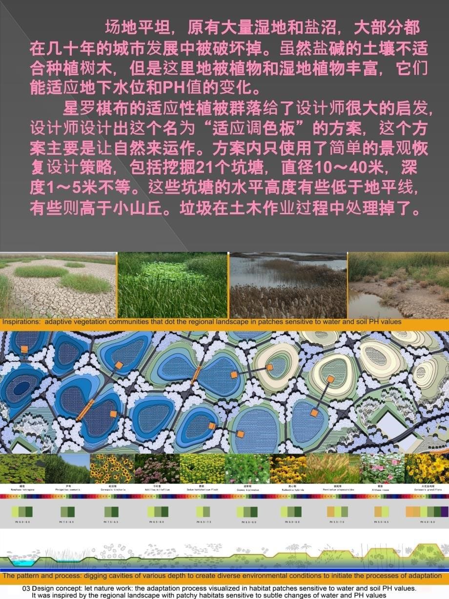 景观园林分析—天津桥园_第5页