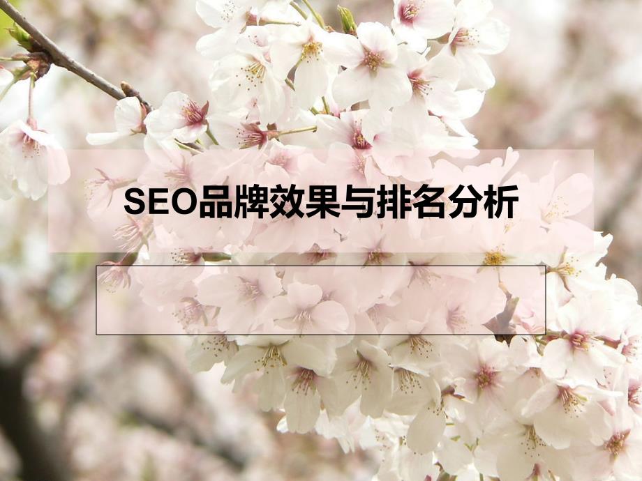 SEO品牌效果与排名分析ppt课件_第1页