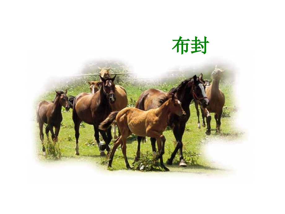 人教版七年级下册《马》课件_第1页