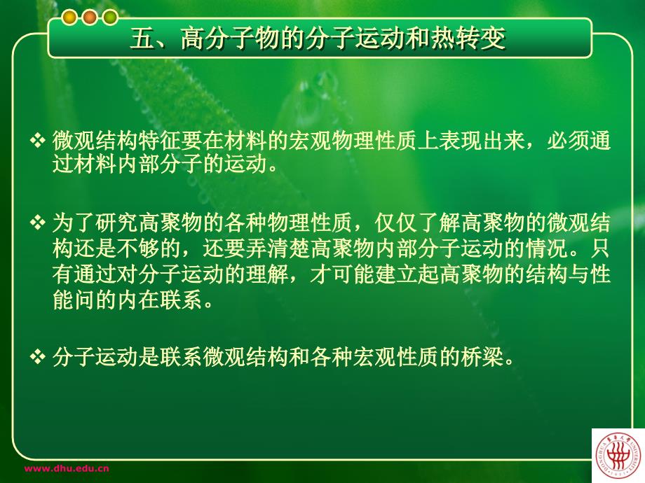 纤维化学与物理课件五 高分子物的分子运动和热转变_第2页