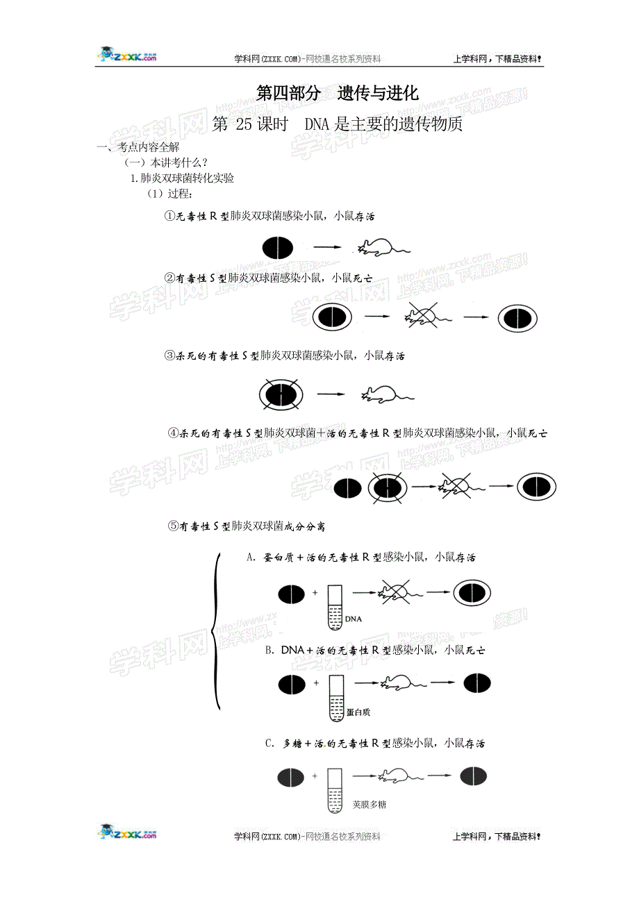 第25课时  DNA是主要的遗传物质_第1页
