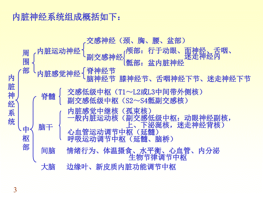 周围神经系统3幻灯片_第3页