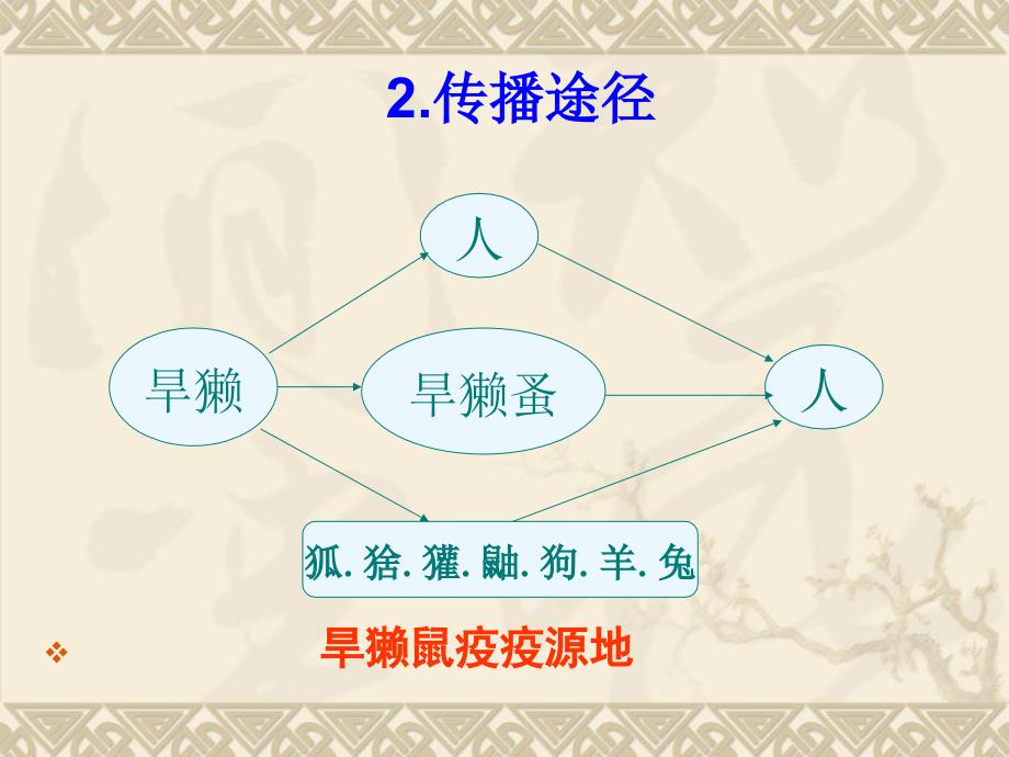 鼠疫的发病机制及其临床诊断与治疗_第4页