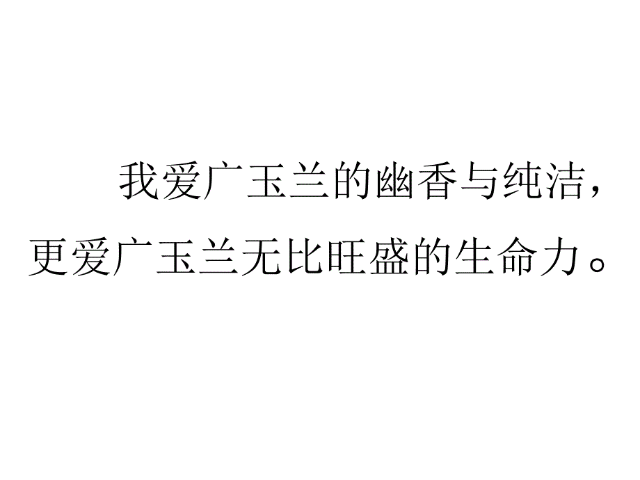 小学六年级新课标语文下册ppt课件-广玉兰_第1页