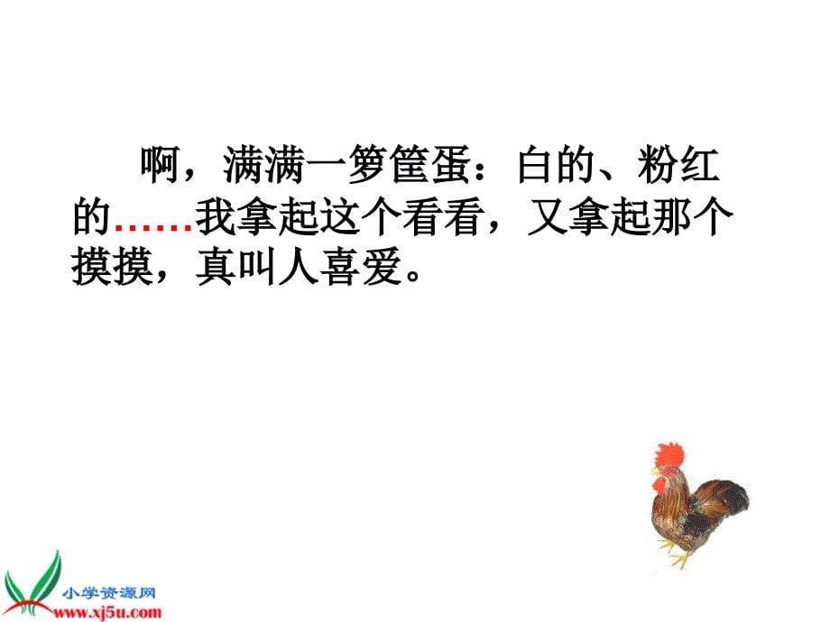 [语文课件]六年级上册《数鸡》PPT课件浙教版课件_第5页