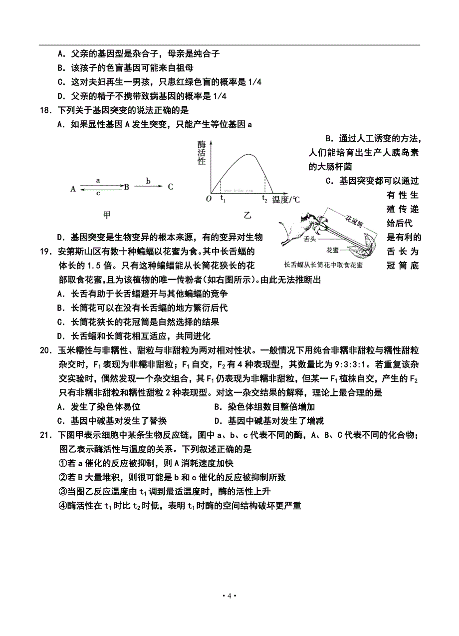 2018 届山东省威海市高三上学期期中考试生物试题及答案_第4页