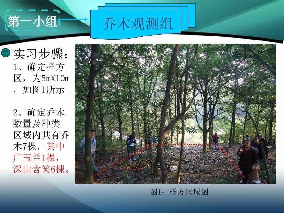 综合自然地理野外实习衡山植物区系与植物群落调查_第5页