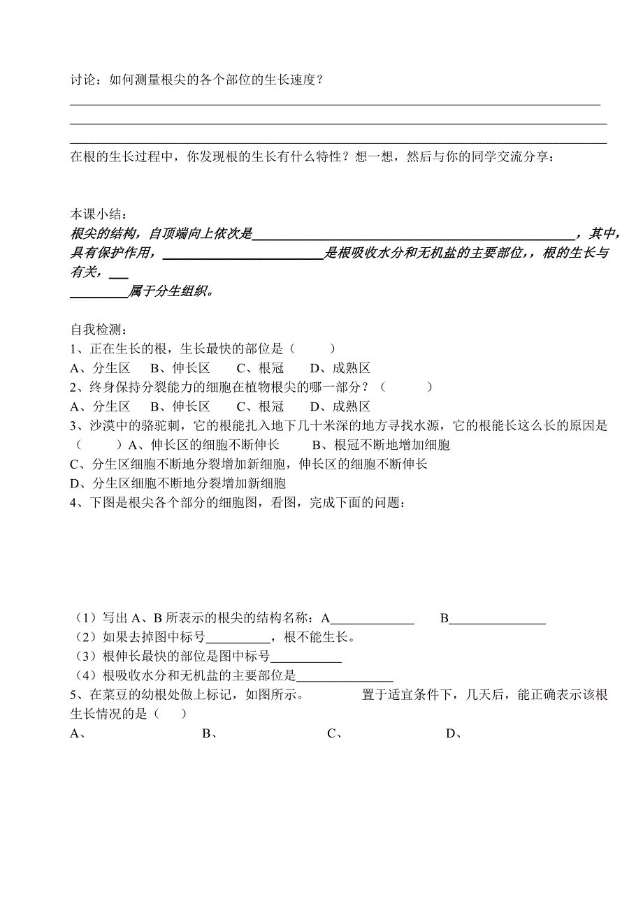 绿色植物的一生(2)_第2页