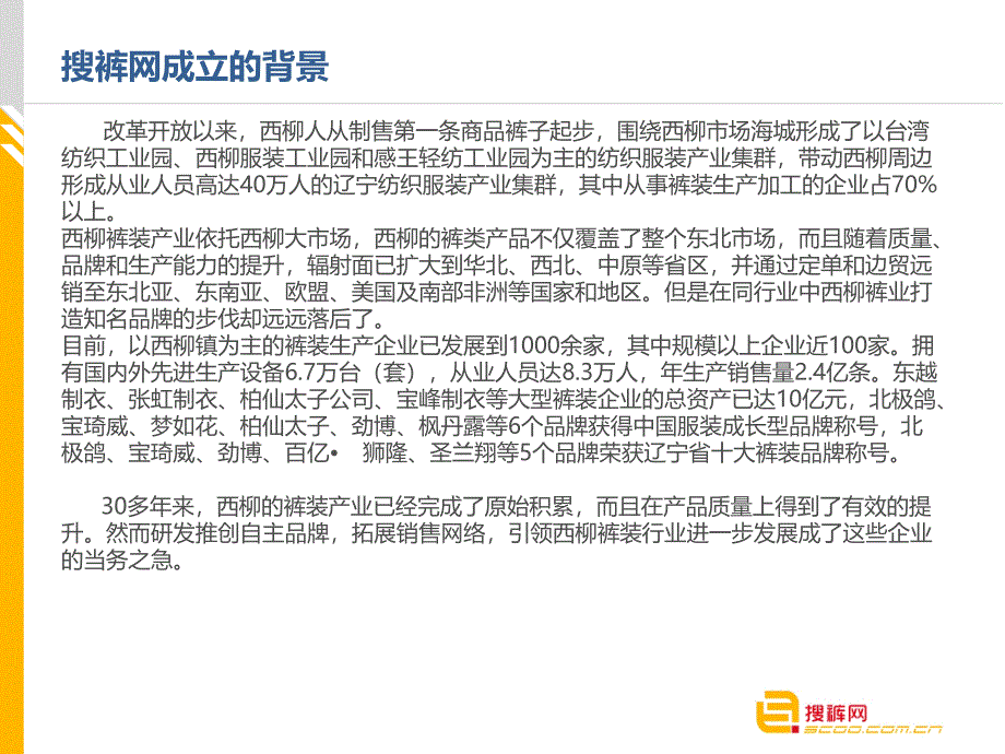 搜裤网运营方案_第2页