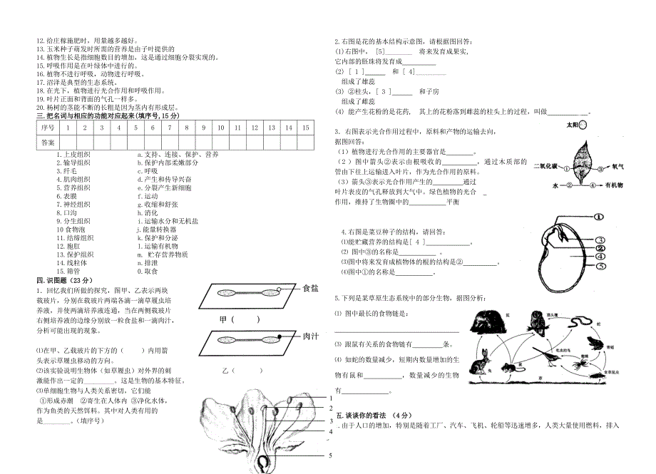 06七年级生物上册期末试卷和答案_第3页