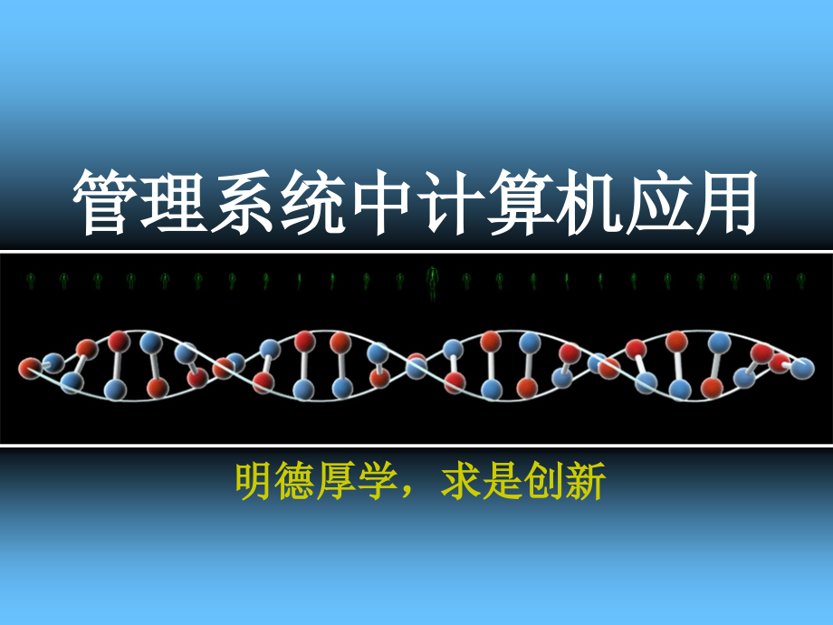 管理信息系统的开发策略ppt课件_第1页