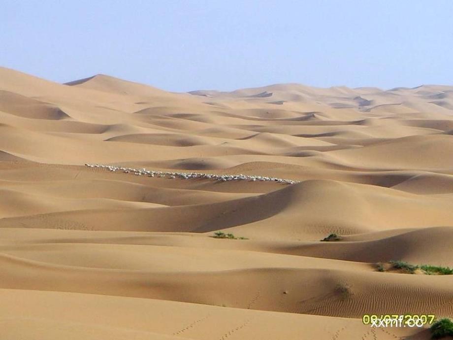 鲁教版语文七年级上册第19课《向沙漠进军》ppt课件_第1页