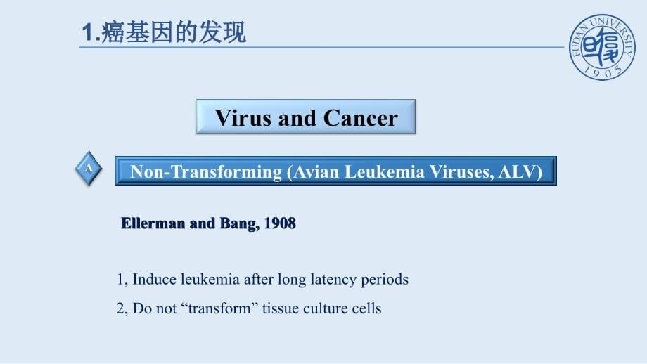 癌生物学 （癌基因与抑癌基因）_第5页