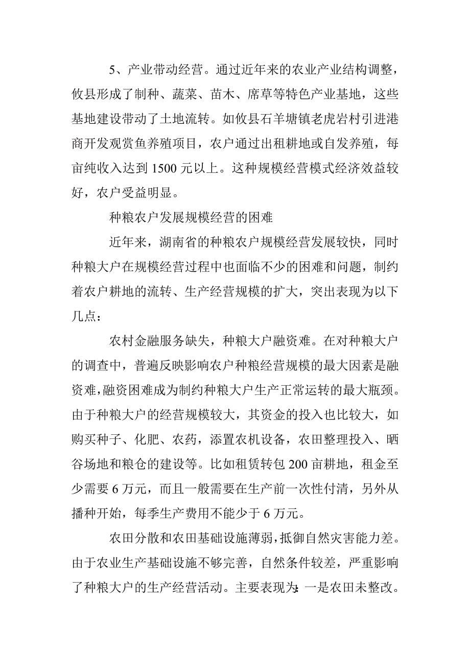 种粮农户经营的困难与策略综述 _第5页