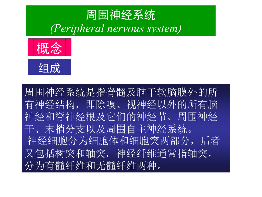 周围神经疾病-教学1幻灯片_第4页