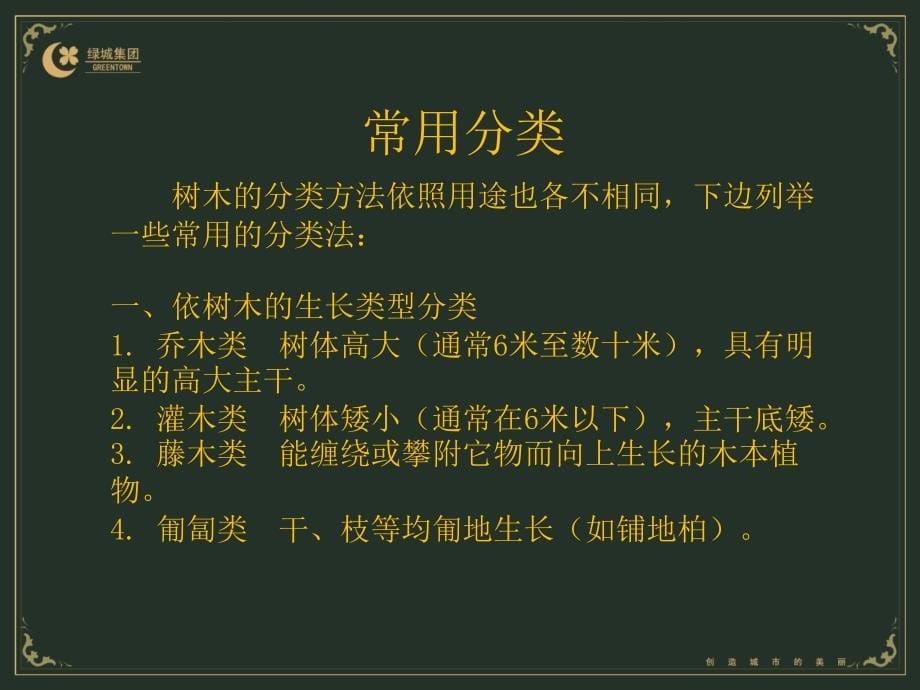 北方常见树木资源_第5页