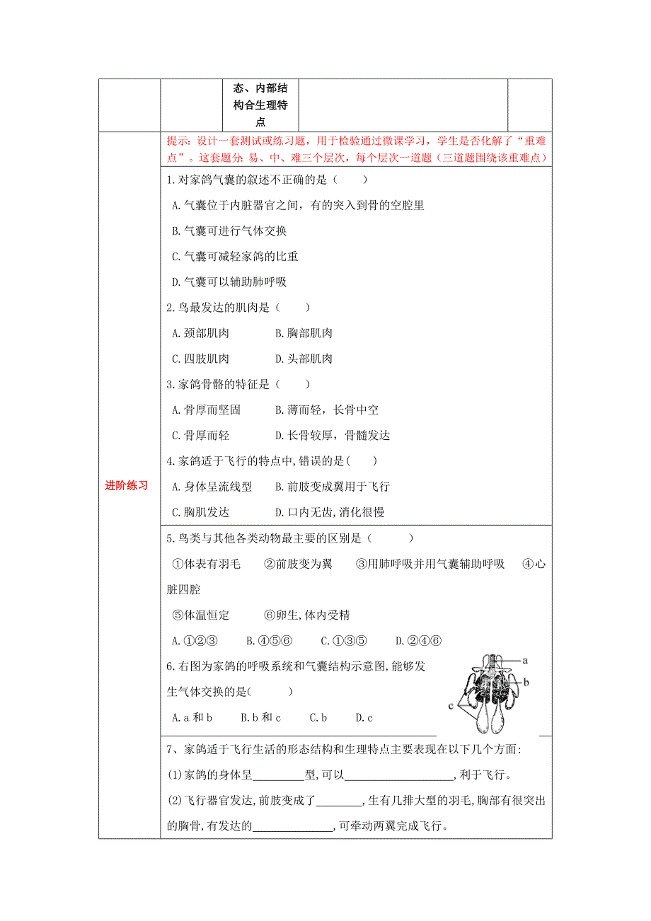 鸟的特点_第2页