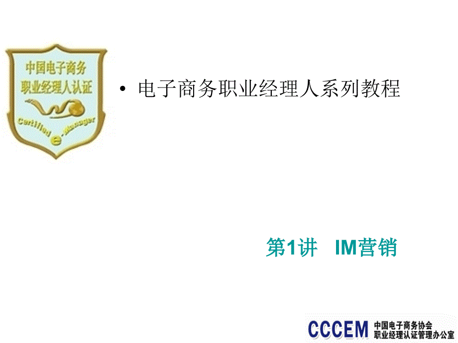 IM营销 电子商务职业经理人系列教程ppt课件_第1页