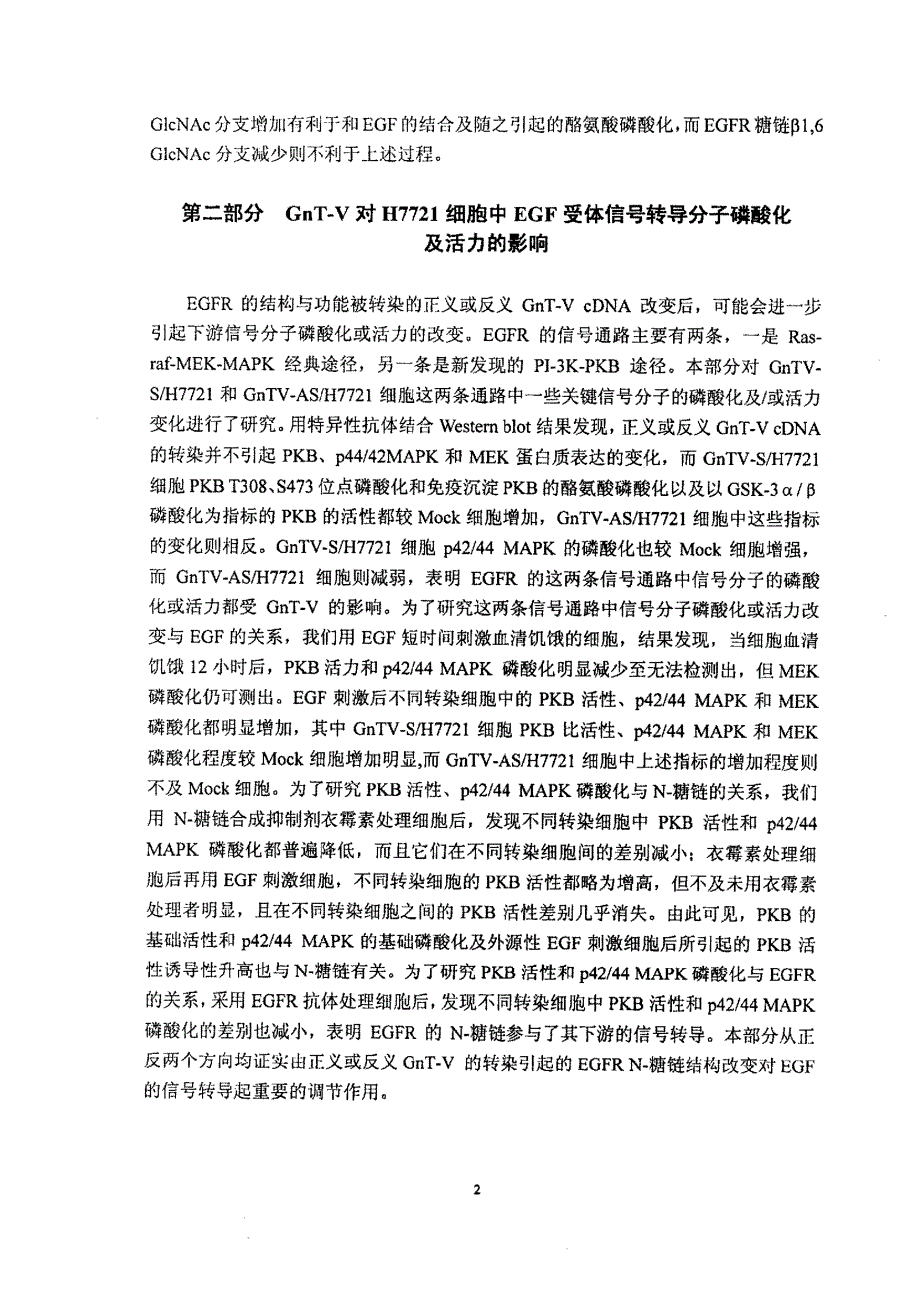 N乙酰氨基葡萄糖转移酶V对细胞信号转导和基因调控的影响_第2页