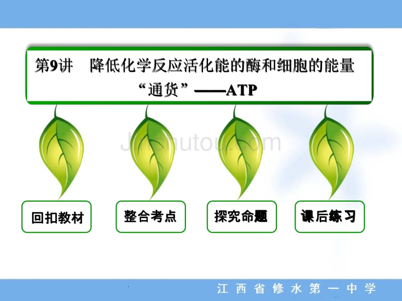 第9讲 降低化学反应活化能的酶和细胞的能量通货ATP_第3页