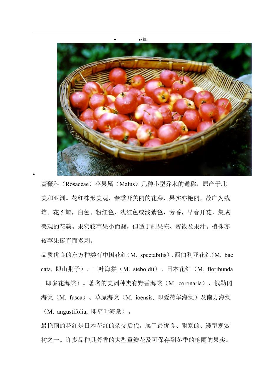 花红 林果类介绍_第1页