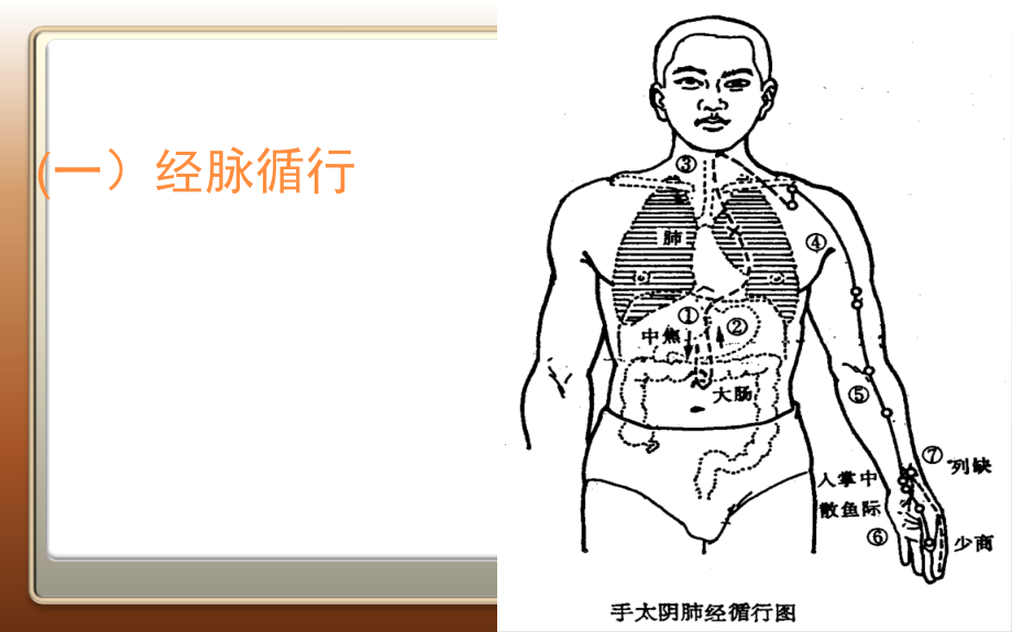 腧穴定位课件_第4页