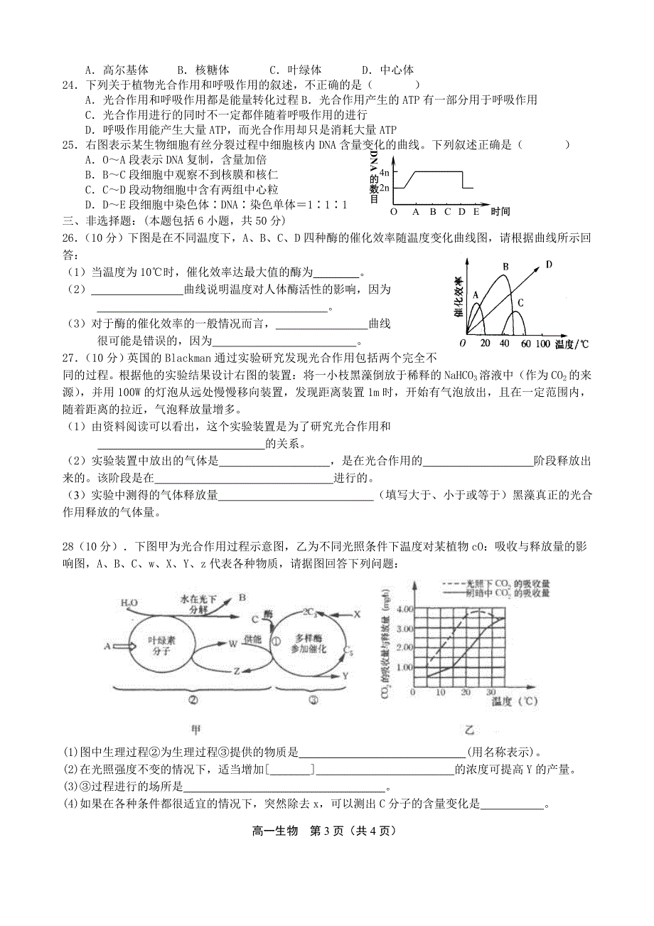 中学高一生物期末综合练习_第3页