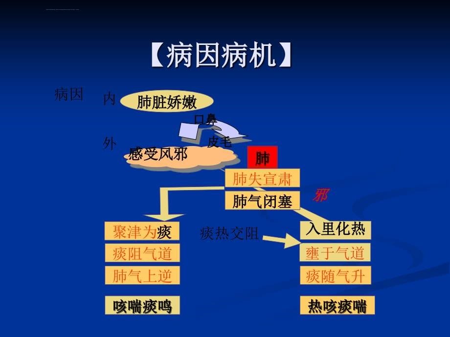 小儿肺炎教学课件_第5页