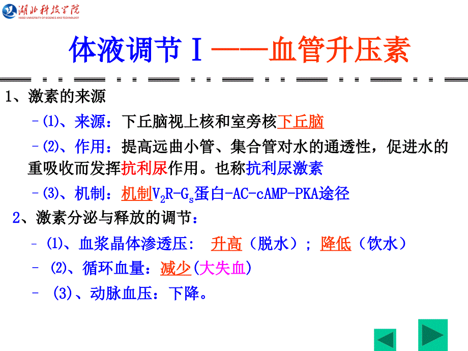 第八章 尿的生成和排出6学时5-6节课件_第3页