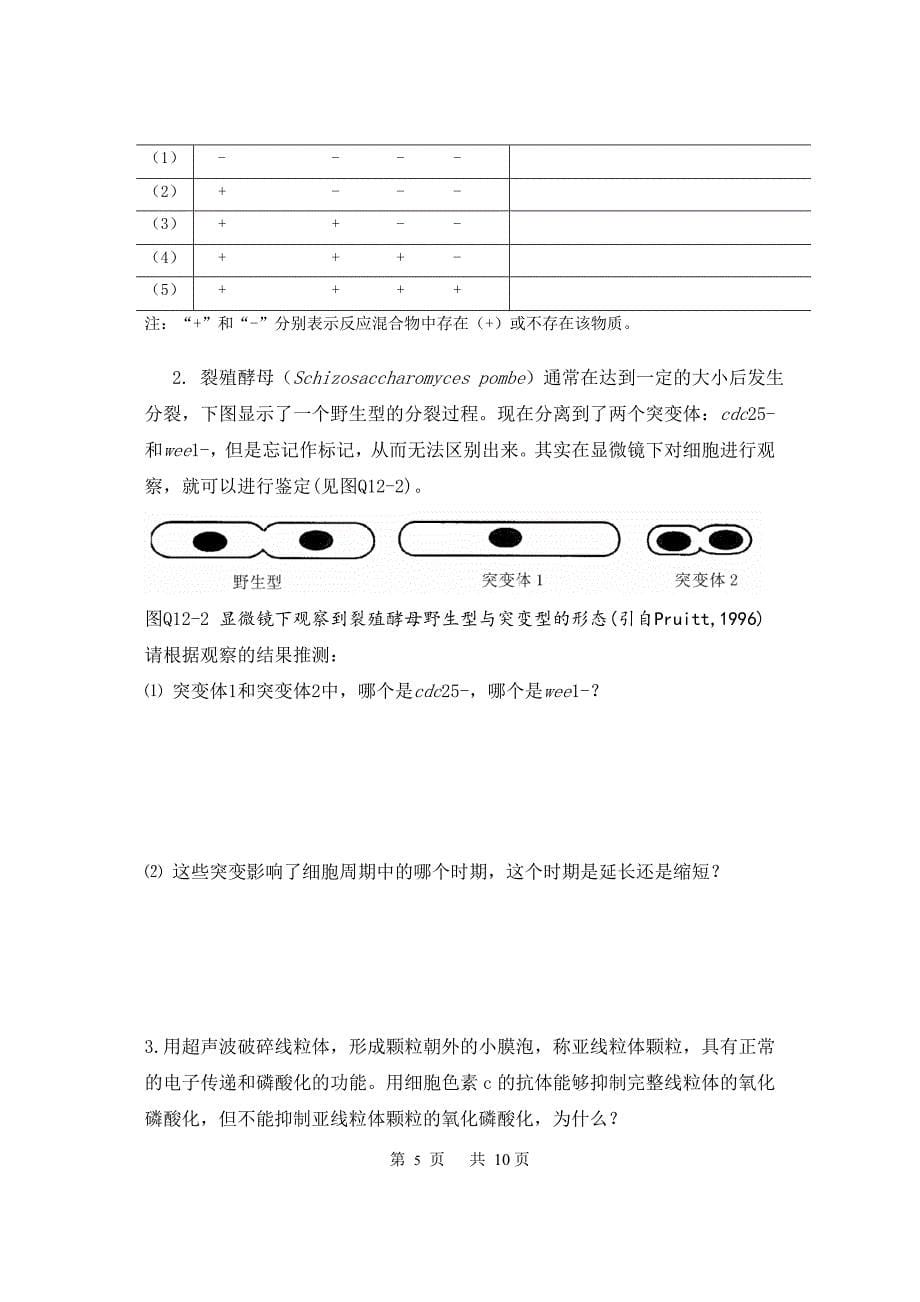 【随米】《 细胞生物学 》试题(A卷) (2)_第5页