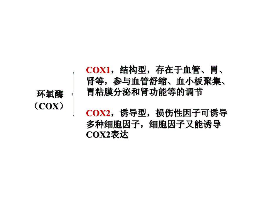 第十六章解热镇痛抗炎药课件_第3页