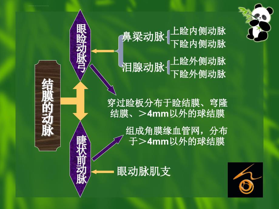 结膜病1分析课件_第4页