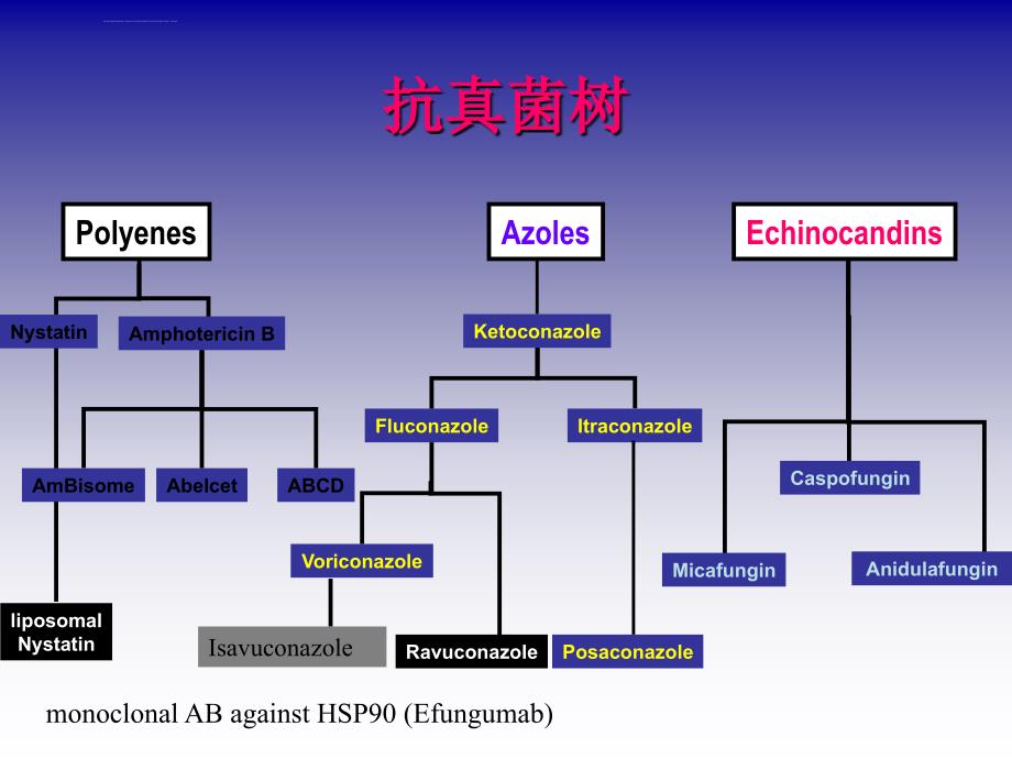 米卡芬净培训课件_第4页