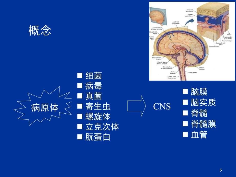 2015中枢神经系统感染课件_第5页