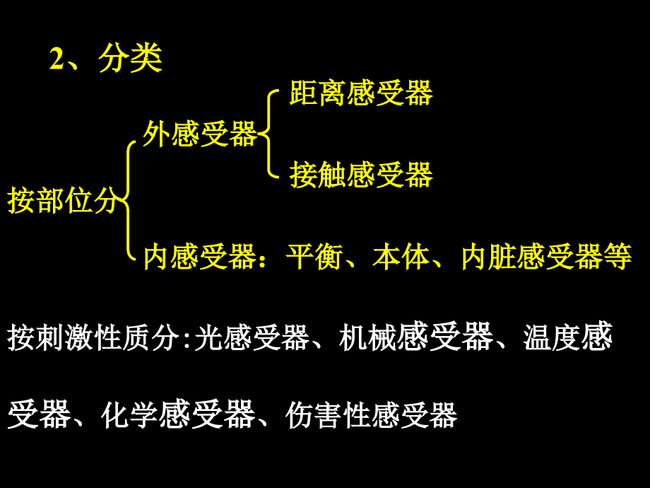 第十章  感觉器官的功能课件_第4页