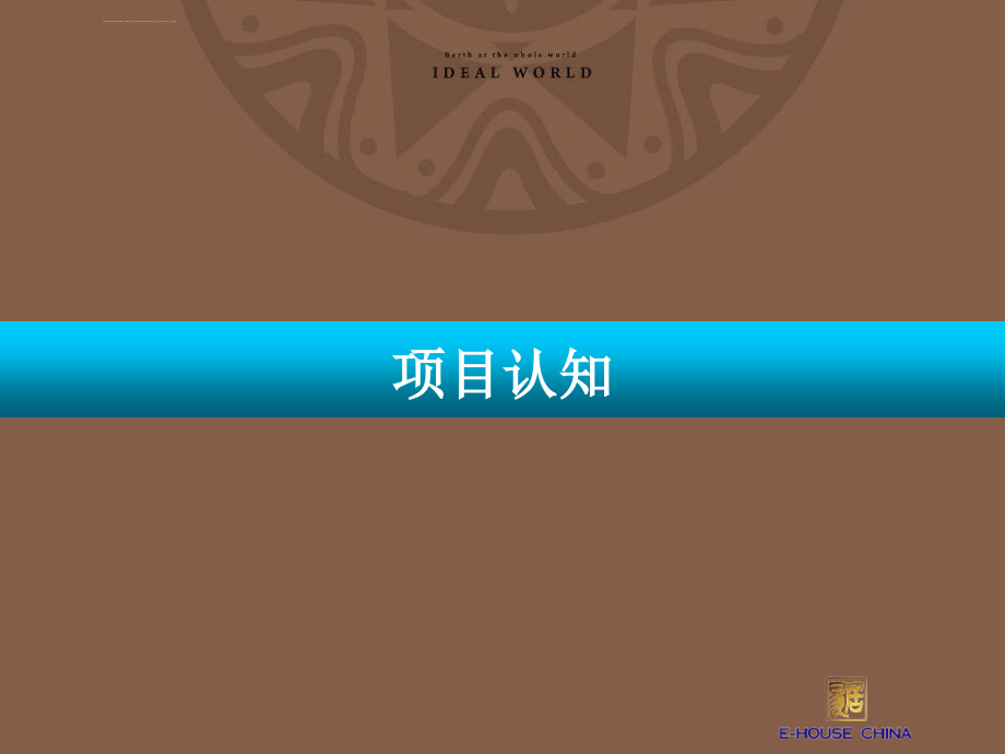 国信海景园项目整体营销策略报告_第5页