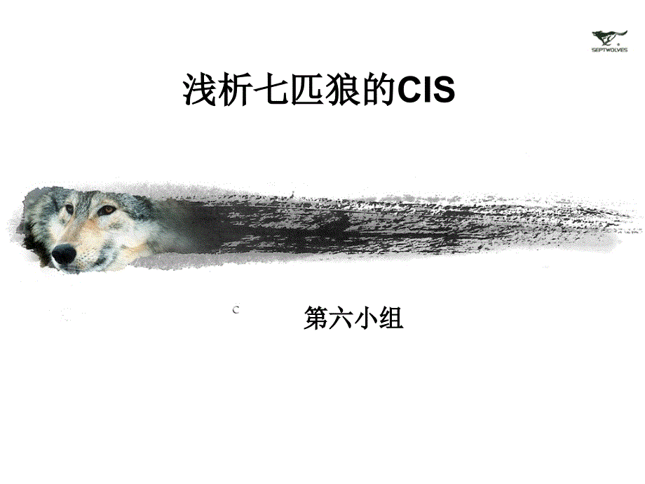 福建七匹狼企业cis手册_第1页