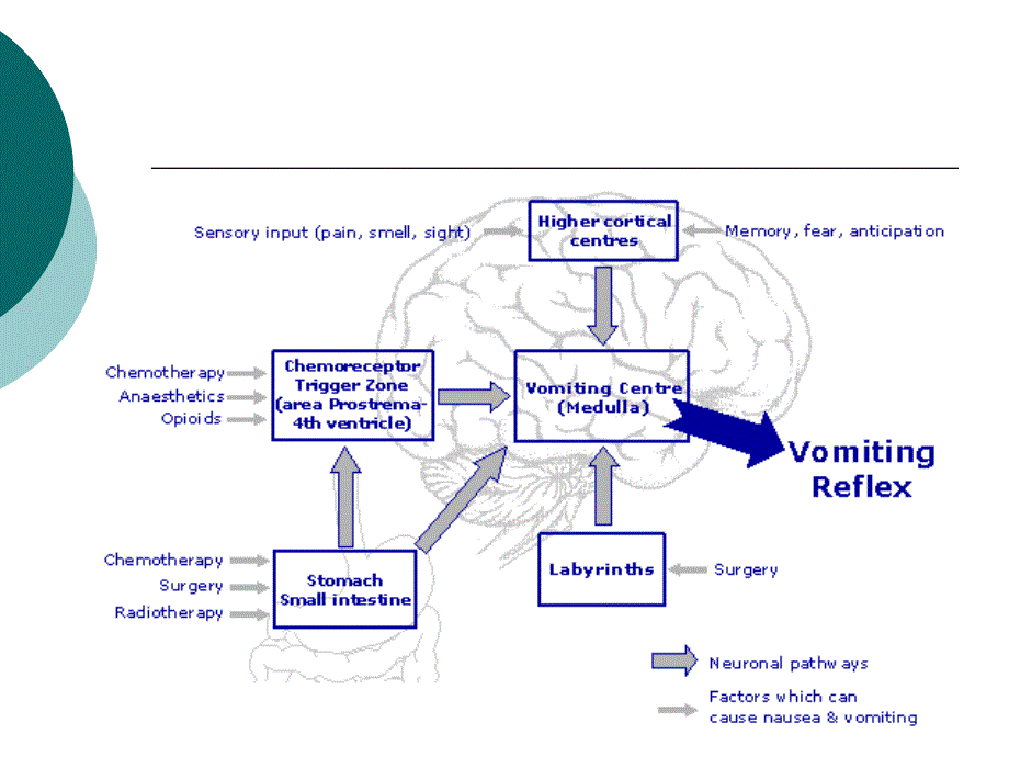 呕吐分析课件_第4页