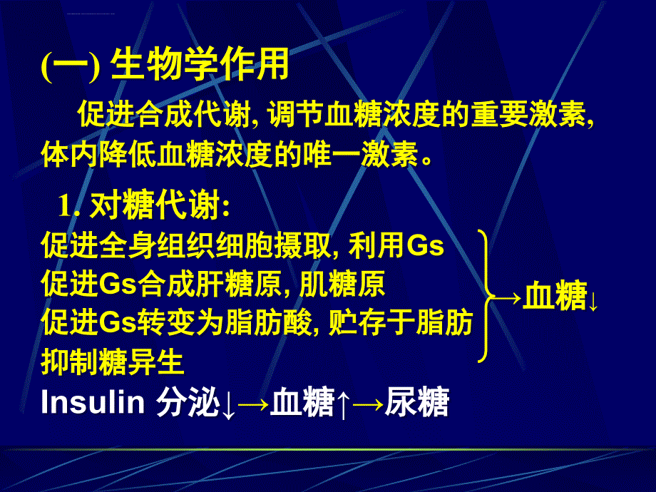 第六节 胰岛的内分泌课件_第4页