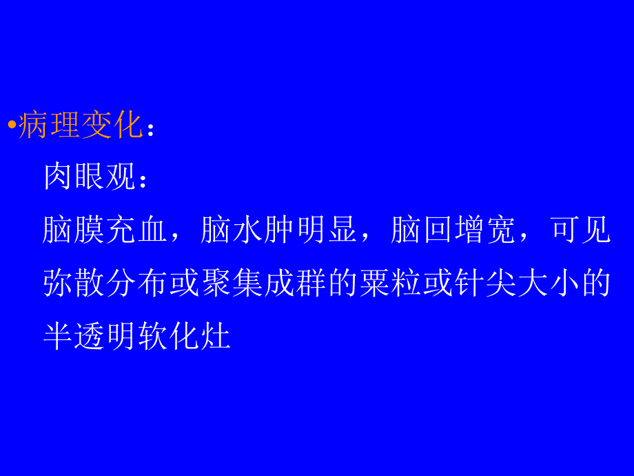 实验二 血液循环障碍、流脑、乙脑3_第3页