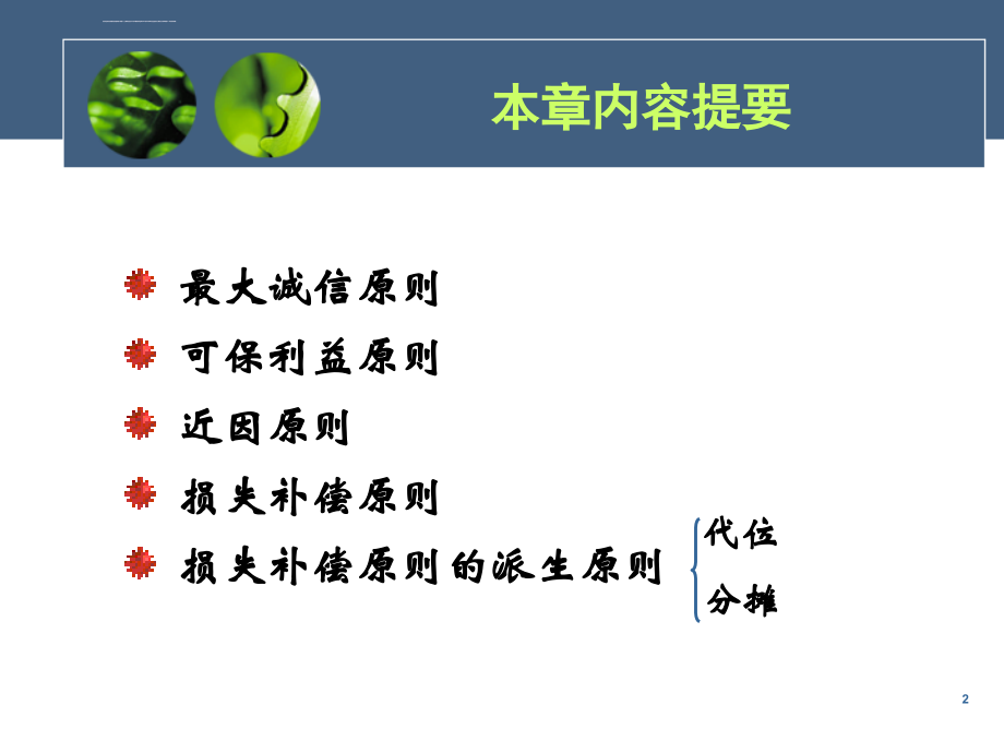 第五章 保险的基本原则课件_第2页