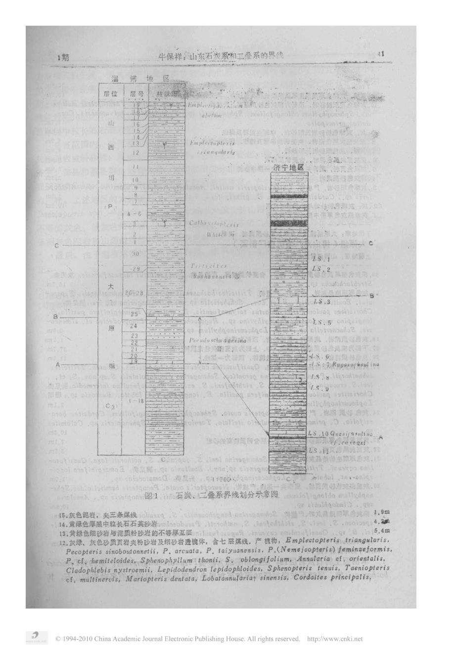 山东石炭系和二叠系的界线_第2页