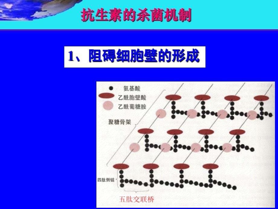 细菌耐药性和医院感染课件_第5页