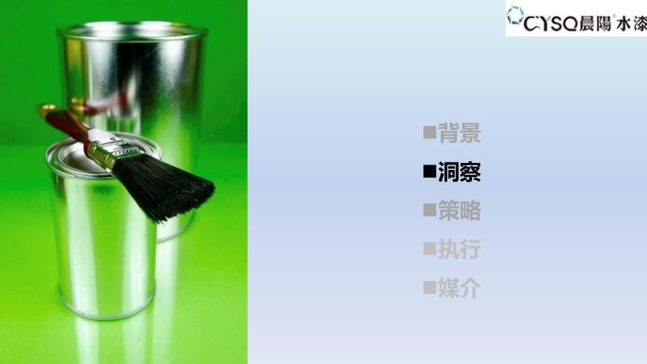 晨阳水漆品牌2013年6-9月品牌推广策划方案_第5页