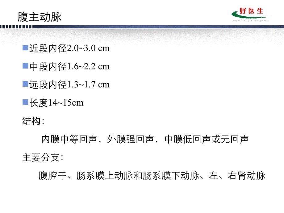 腹主动脉瘤的超声诊断-北京安贞医院孙慧_第5页