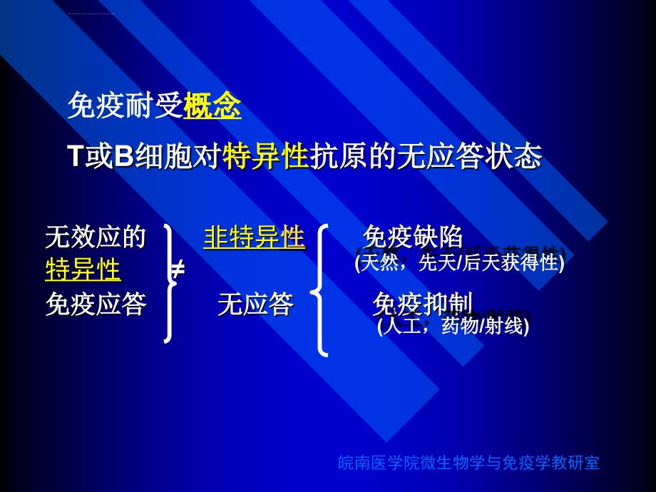 免疫耐受课件_第3页